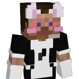 VoidKiller0hz's skin