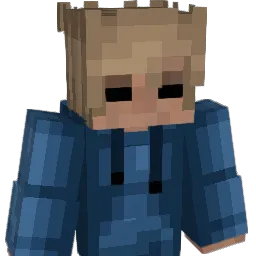 9allox Minecraft avatar bust