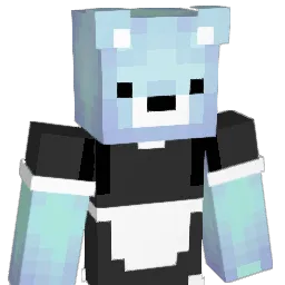 CCVR's skin