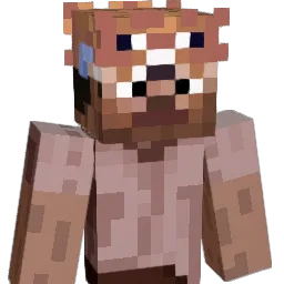 PufferBucket's skin
