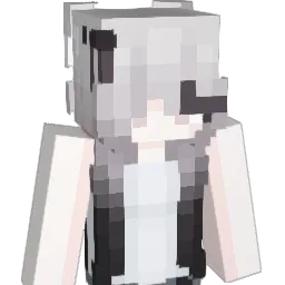 tussiwarriors's skin