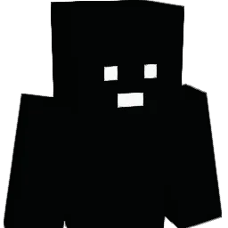 9gong Minecraft avatar bust