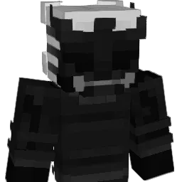 9inE3 Minecraft avatar bust