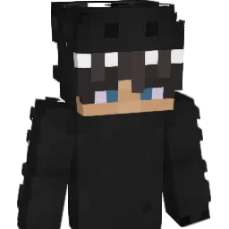 9livesss Minecraft avatar bust