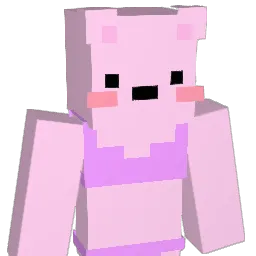 9na0 Minecraft avatar bust