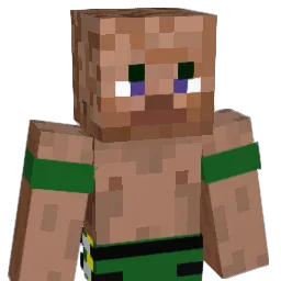 9nate4 Minecraft avatar bust
