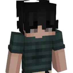 9shady Minecraft avatar bust