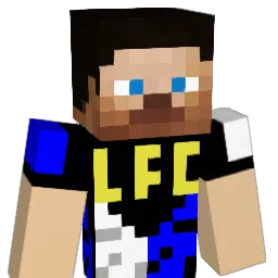 A0N17 Minecraft avatar bust