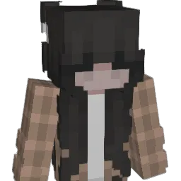 A450 Minecraft avatar bust
