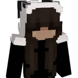 AAL1YAH26 Minecraft avatar bust