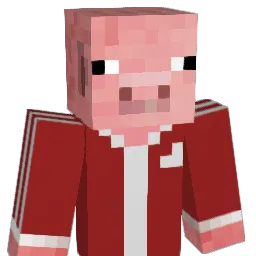 ACCHERS Minecraft avatar bust