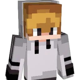 ACEvids Minecraft avatar bust