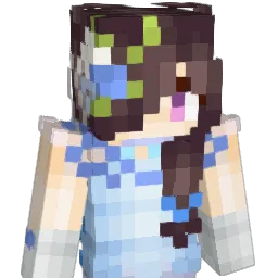 ACTIVATE_ZY Minecraft avatar bust