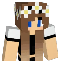 ACmine22