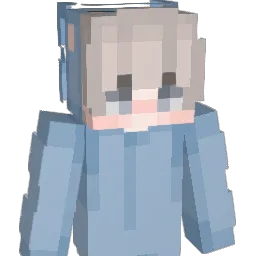 ADD1n_ Minecraft avatar bust
