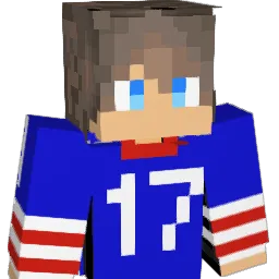 ADOM17 Minecraft avatar bust