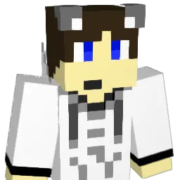AE_ChanMan Minecraft avatar bust
