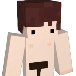 AFK_Traitor Minecraft avatar bust