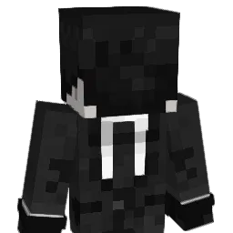 AGWright Minecraft avatar bust