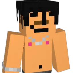 AID_5 Minecraft avatar bust