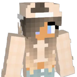 AJ11300 Minecraft avatar bust
