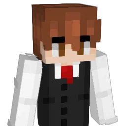 AK250o0 Minecraft avatar bust