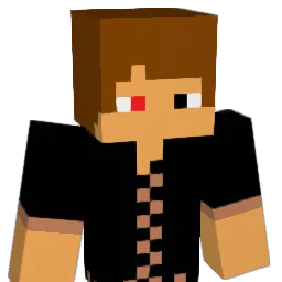 AKIN1537 Minecraft avatar bust