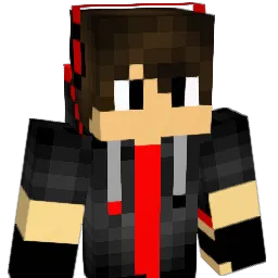 ALFG_6510 Minecraft avatar bust