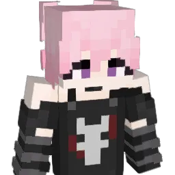 ALI_AQEEL Minecraft avatar bust