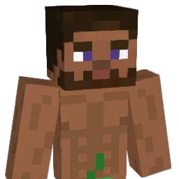 ALPHA2X0 Minecraft avatar bust
