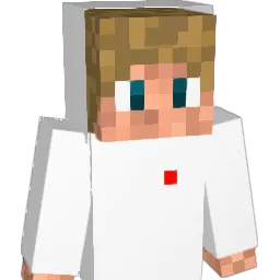 AL_x0 Minecraft avatar bust