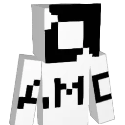 AMD_Ryzen_5 Minecraft avatar bust