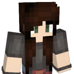 AMERUY Minecraft avatar bust