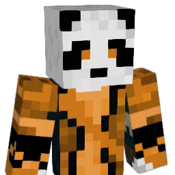 AMGray11 Minecraft avatar bust