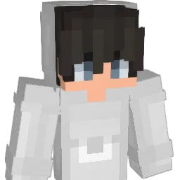 AMINHAN Minecraft avatar bust