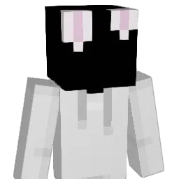 AN1MOL Minecraft avatar bust