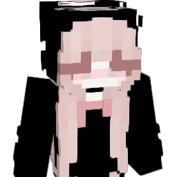 ANSJSMSRNLDUDNJ's Minecraft skin