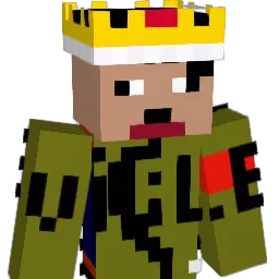 ANTNR34 Minecraft avatar bust