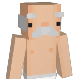 APC345 Minecraft avatar bust