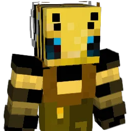 APIS_1