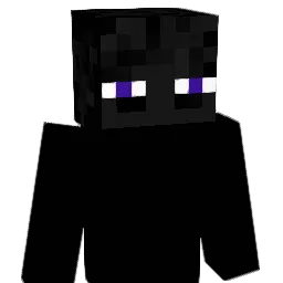 APPAGN Minecraft avatar bust