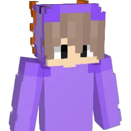 APPedrinn
