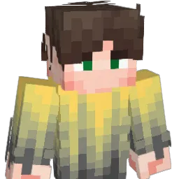 AROTIK_ Minecraft avatar bust