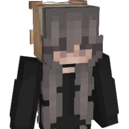 ASingleToast Minecraft avatar bust