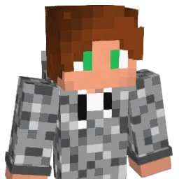 ASoder2005 Minecraft avatar bust