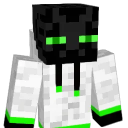ATheNoodleKingW Minecraft avatar bust