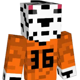 A_BLIND_ZEBRA Minecraft avatar bust