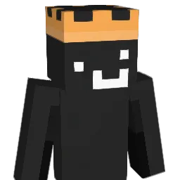 A_N1416 Minecraft avatar bust