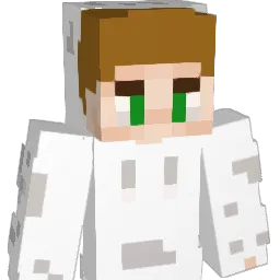 A_NdR3_ Minecraft avatar bust