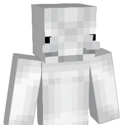 A_Y_D_I_N Minecraft avatar bust